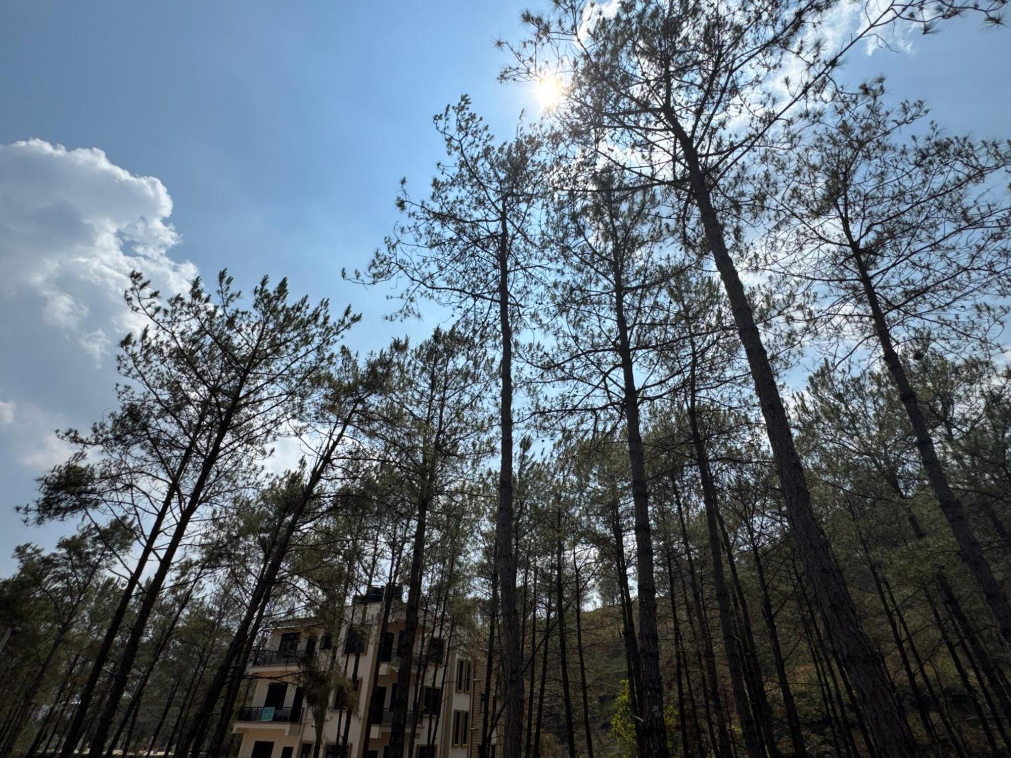 Xtsy Travellers Hostel 西隆 外观 照片