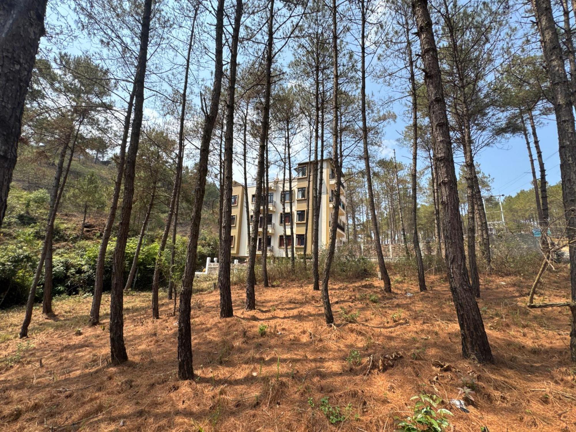 Xtsy Travellers Hostel 西隆 外观 照片